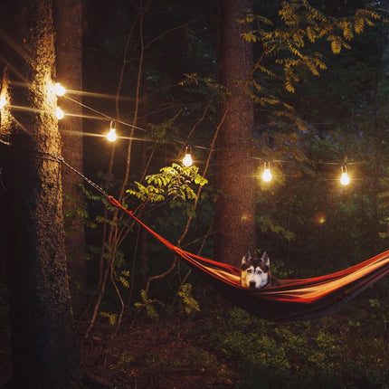 LOT 10 Ampoules G45 4W – Éclairage LED