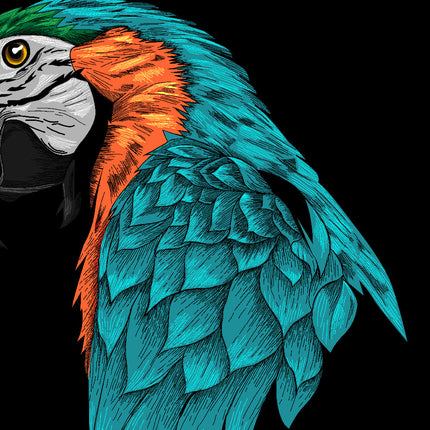 Tableau PARROT SPLASH – Évasion Naturelle