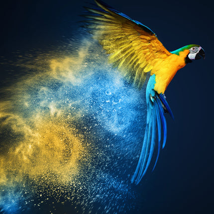 Tableau MAJESTIC FLIGHT – Évasion Naturelle