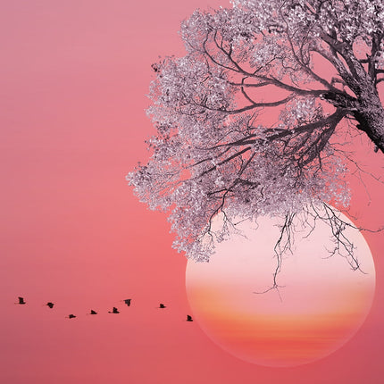 Tableau WHITE  TREE – Évasion Naturelle