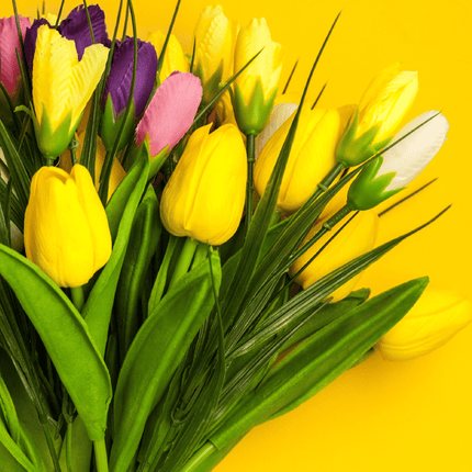 Tableau TULIPA ELEGANCE – Art Floral