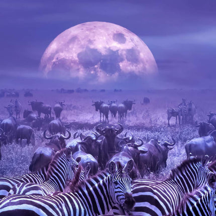 Tableau SAFARI MAJESTIC – Voyage Artistique